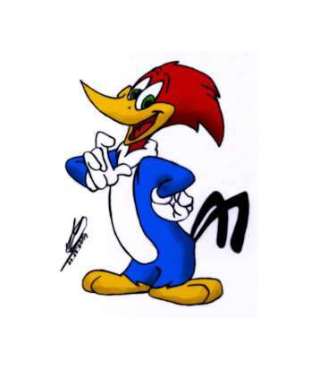 woody woodpecker wallpaper,cartoon,animated cartoon,sonic the hedgehog,fictional character,bird