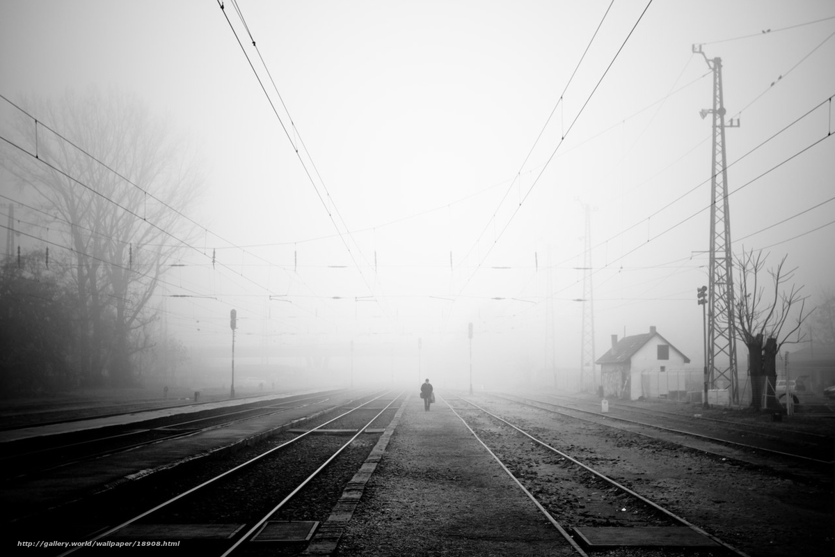 wallpaper triste,white,fog,atmospheric phenomenon,black,sky
