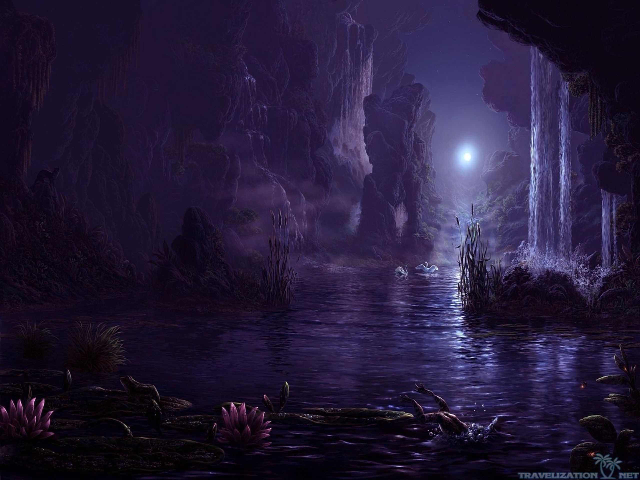 fondo de pantalla de 192 píxeles,naturaleza,púrpura,oscuridad,ligero,violeta
