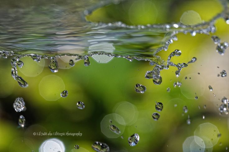 192 pixels wallpaper,water,dew,green,nature,moisture