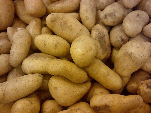 a to z spelling wallpaper,root vegetable,potato,vegetable,food,ullucus