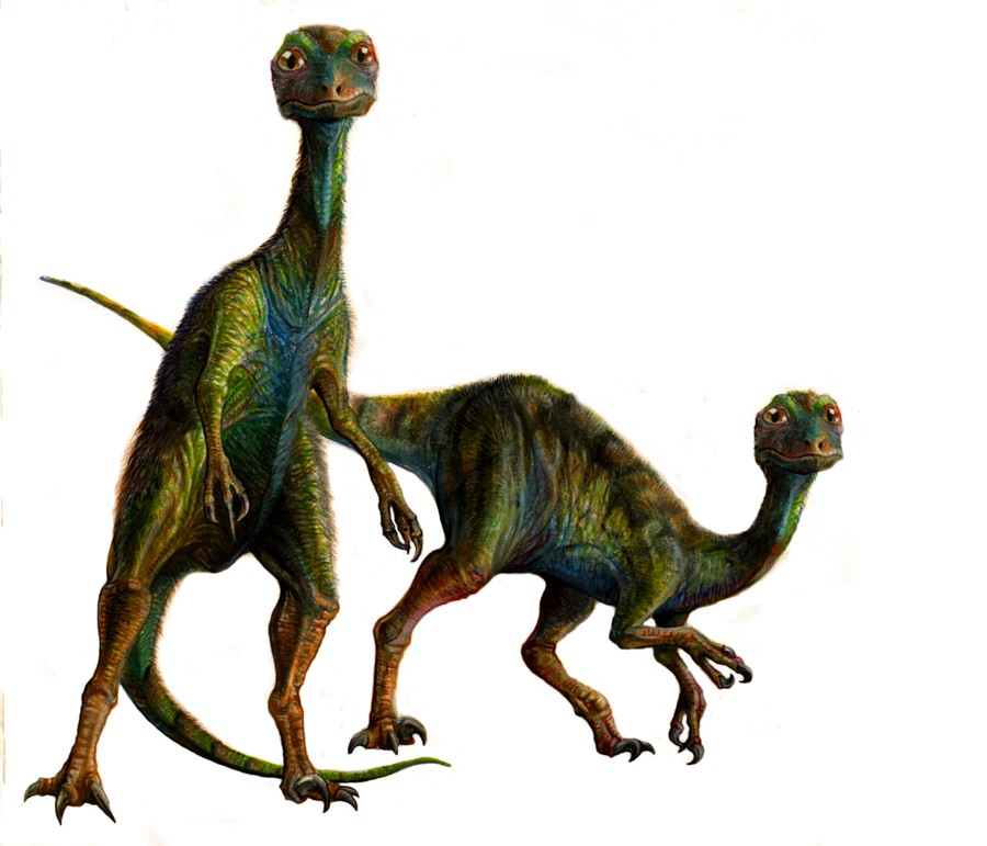 fond d'écran d'orthographe a à z,dinosaure,velociraptor,animal terrestre,troodon,tyrannosaure