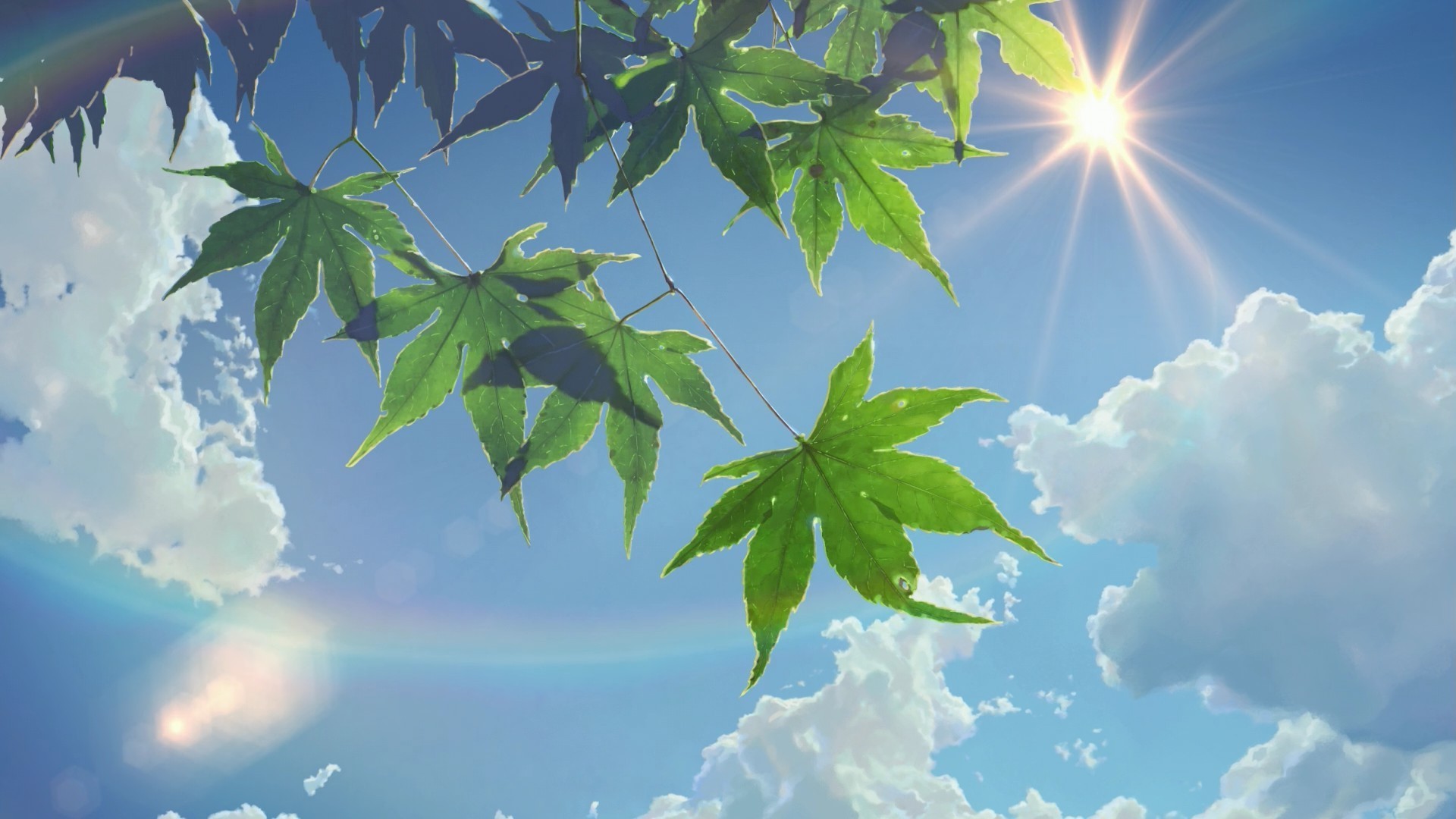 makoto shinkai wallpaper,sky,leaf,tree,nature,green