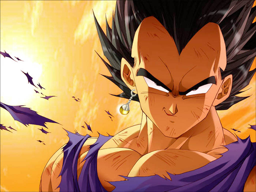 برنامج wallpapers,anime,cartoon,dragon ball,fictional character,cg artwork