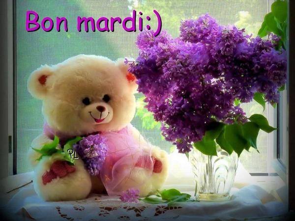 bon bon wallpaper,teddy bear,purple,toy,lilac,pink