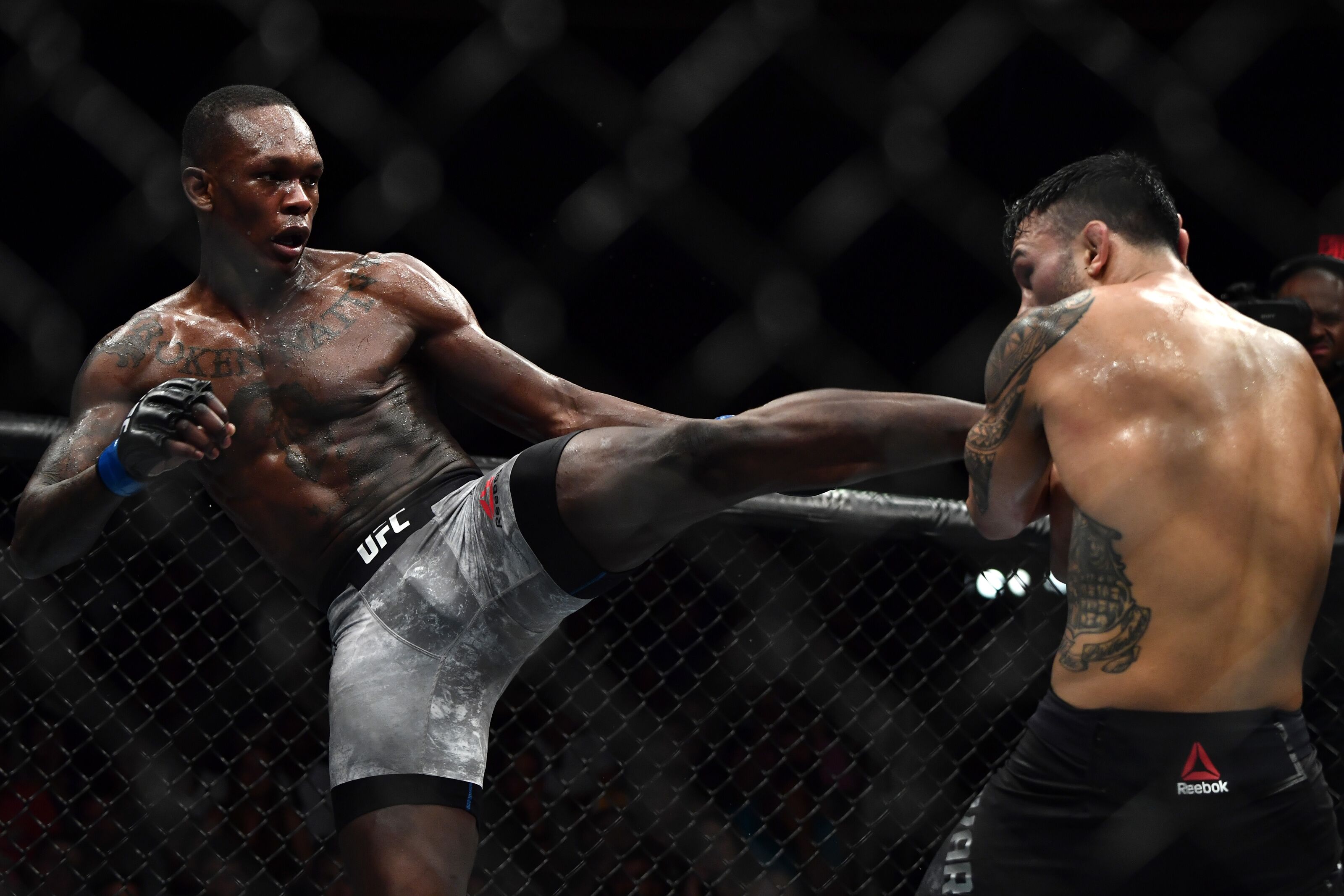 anderson silva wallpaper,professional boxer,barechested,striking combat