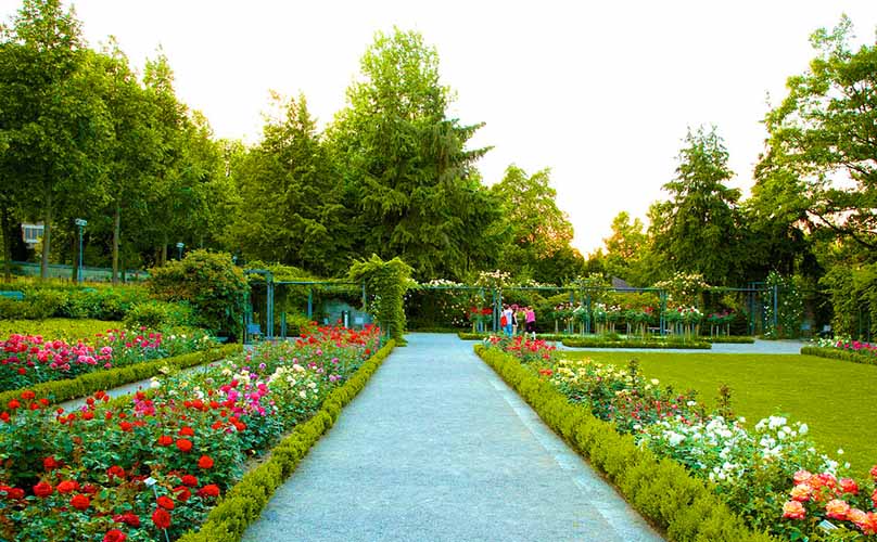 찬디 가르,정원,식물원,자연 경관,자연,꽃