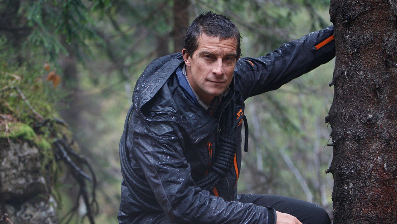 bear grylls wallpaper,tree,jacket,outerwear,adventure,plant