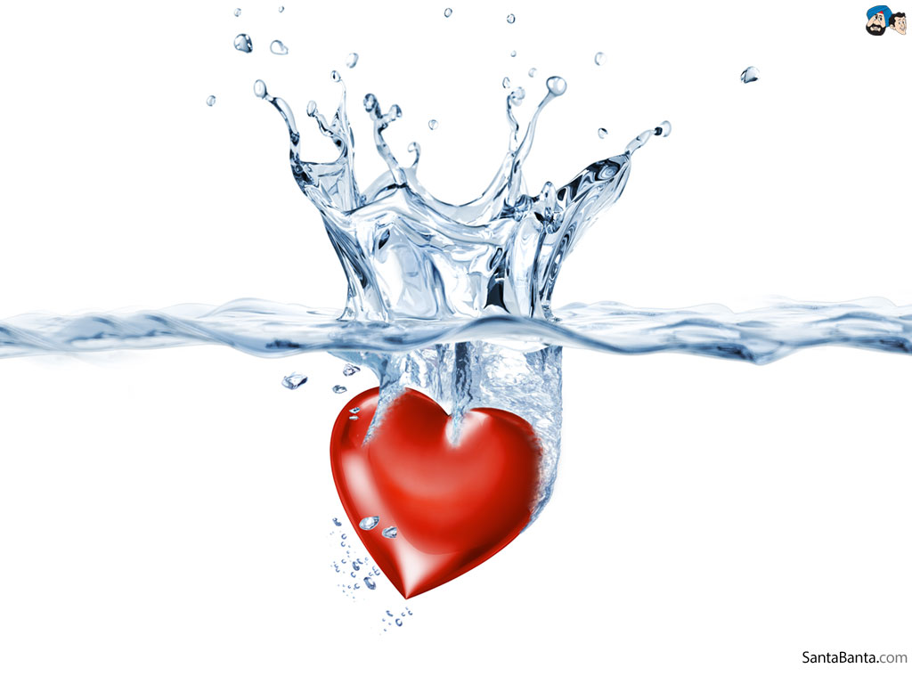 i love you ka wallpaper,red,water,heart,organ,love