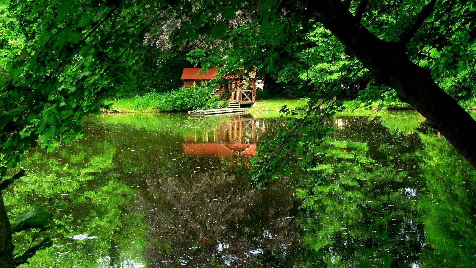 fondo de pantalla hd gratuit,paisaje natural,naturaleza,verde,árbol,agua