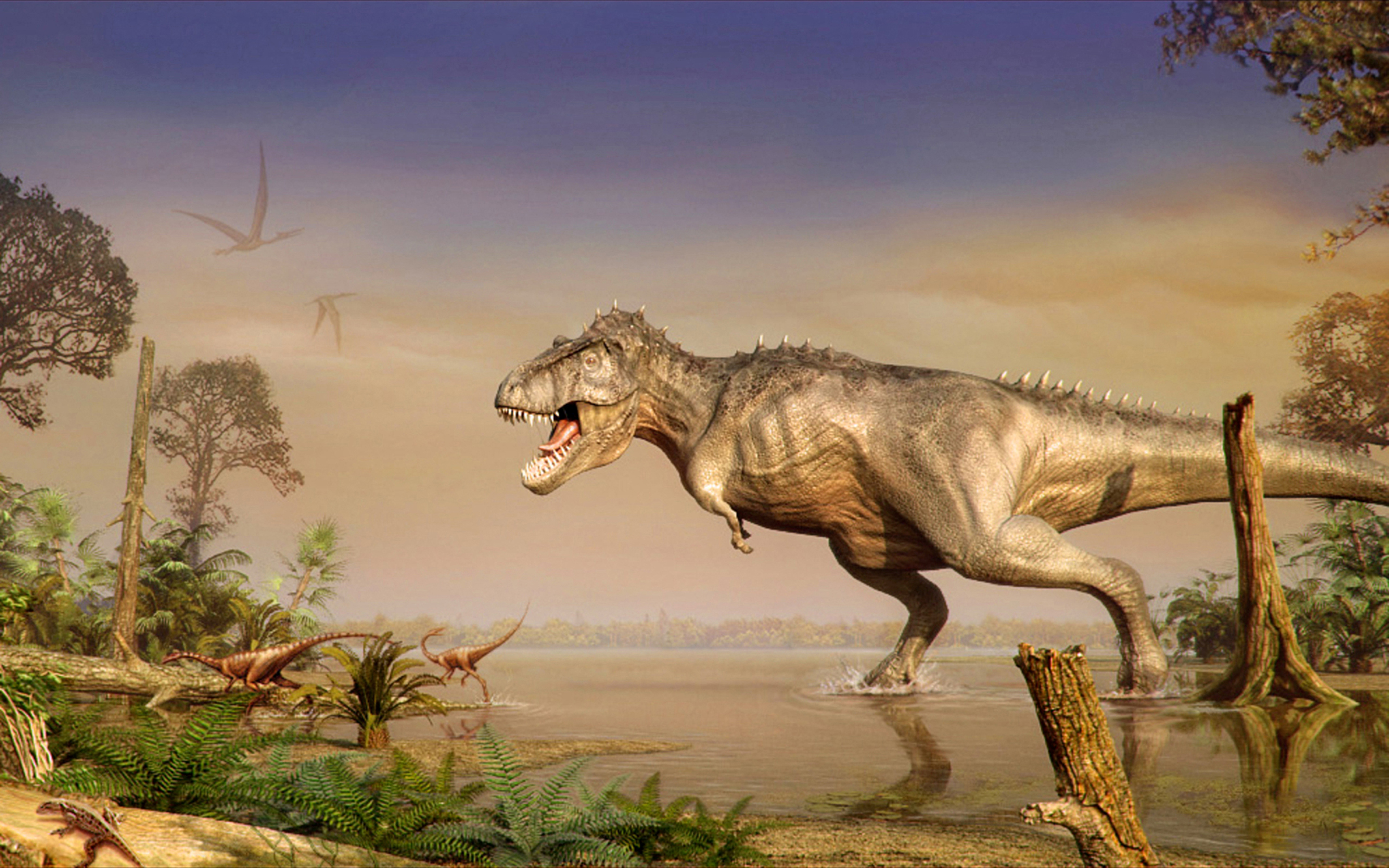 carta da parati dini,dinosauro,tirannosauro,velociraptor,natura,troodon