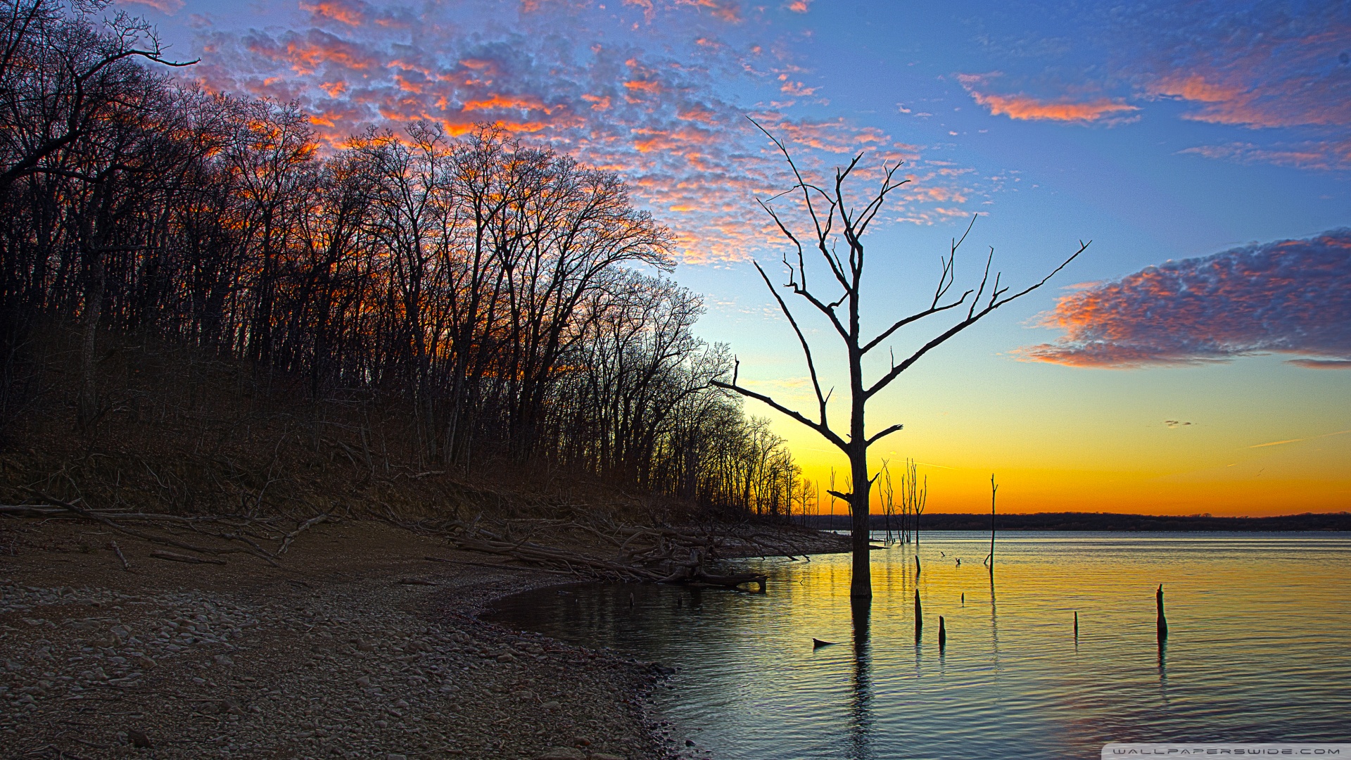 be still wallpaper,sky,natural landscape,nature,water,tree