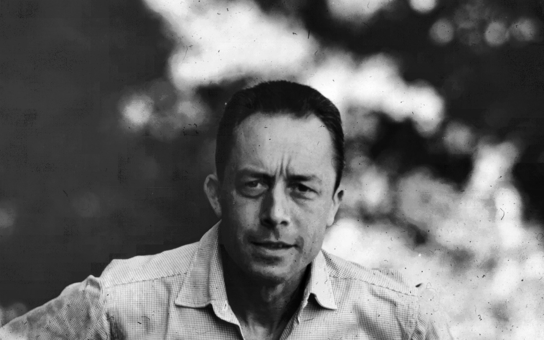 albert camus wallpaper,photograph,people,black and white,forehead,monochrome photography