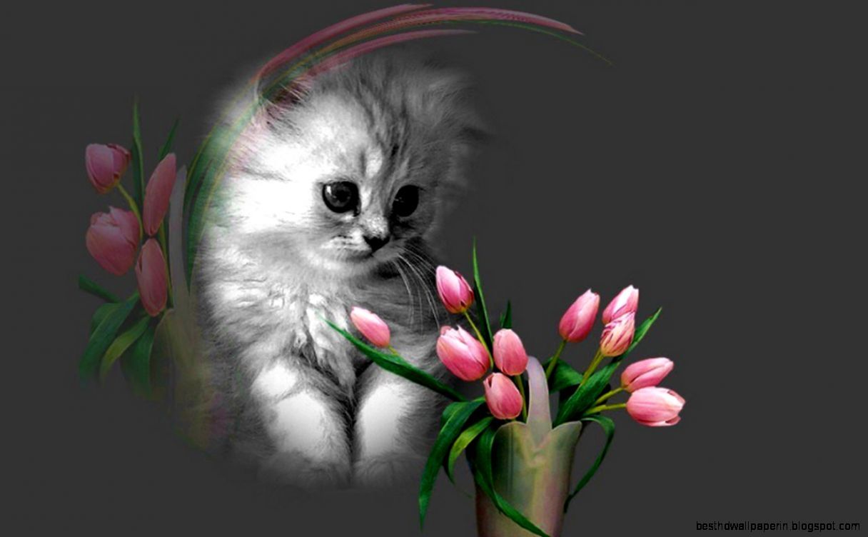 blumen wallpaper download für handy,katze,felidae,kleine bis mittelgroße katzen,kätzchen,schnurrhaare