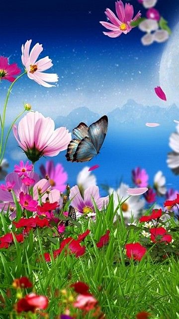 flowers wallpaper download for mobile,butterfly,nature,flower,natural landscape,plant