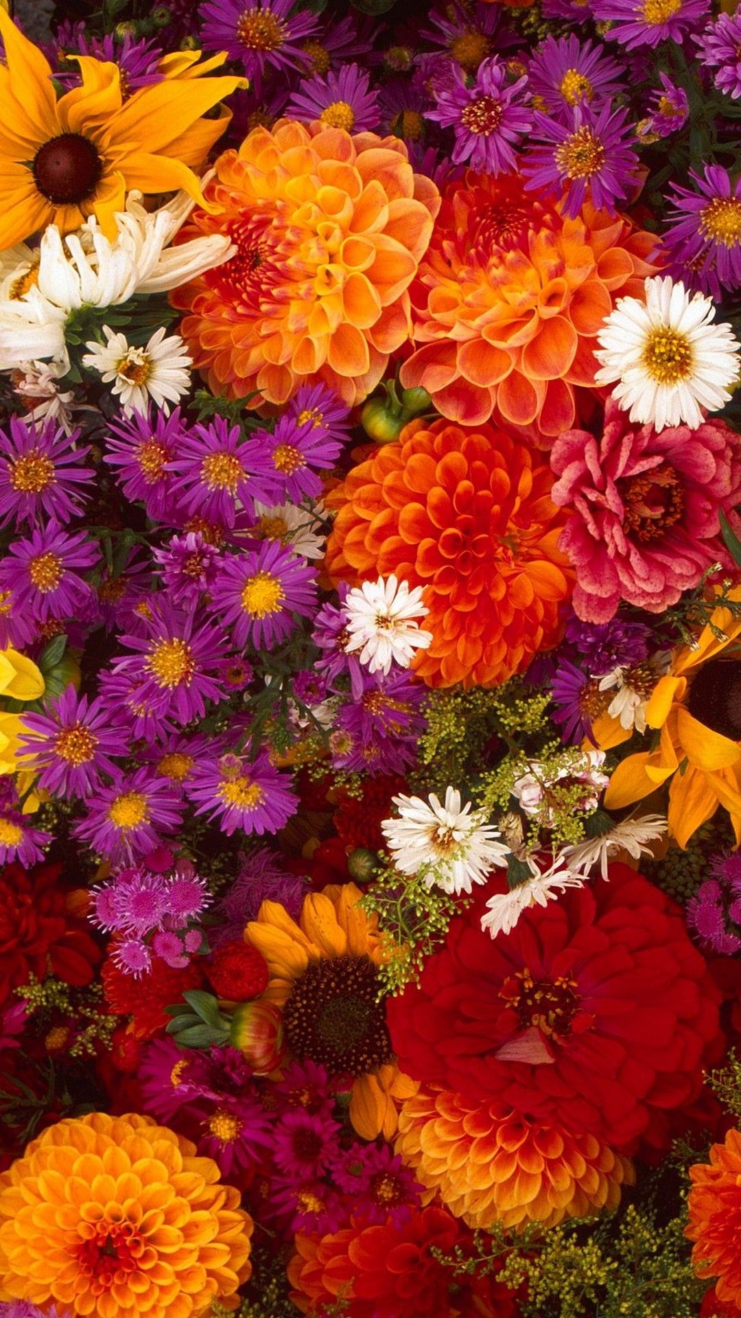안드로이드를위한 꽃 벽지 hd,꽃,꽃 피는 식물,식물,꽃잎,꽃을 자르다