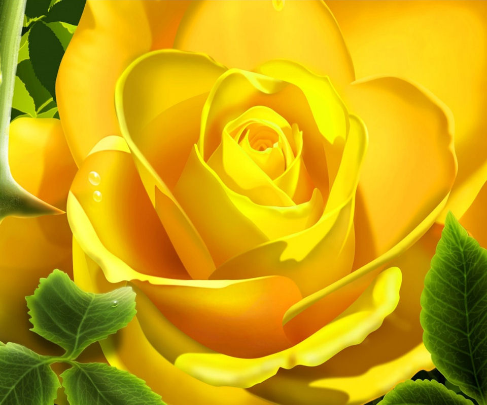 flower wallpaper hd for android,flower,flowering plant,julia child rose,garden roses,yellow