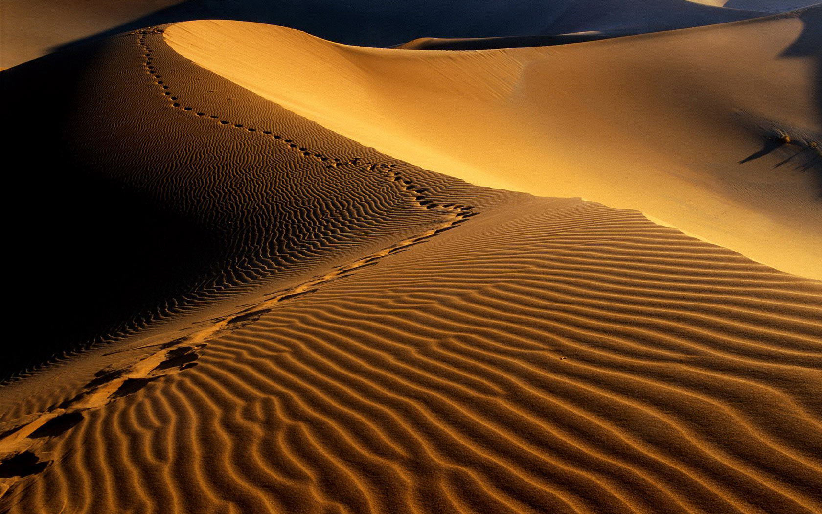 모래 벽지 hd,사막,에르그,모래,모래 언덕,사하라