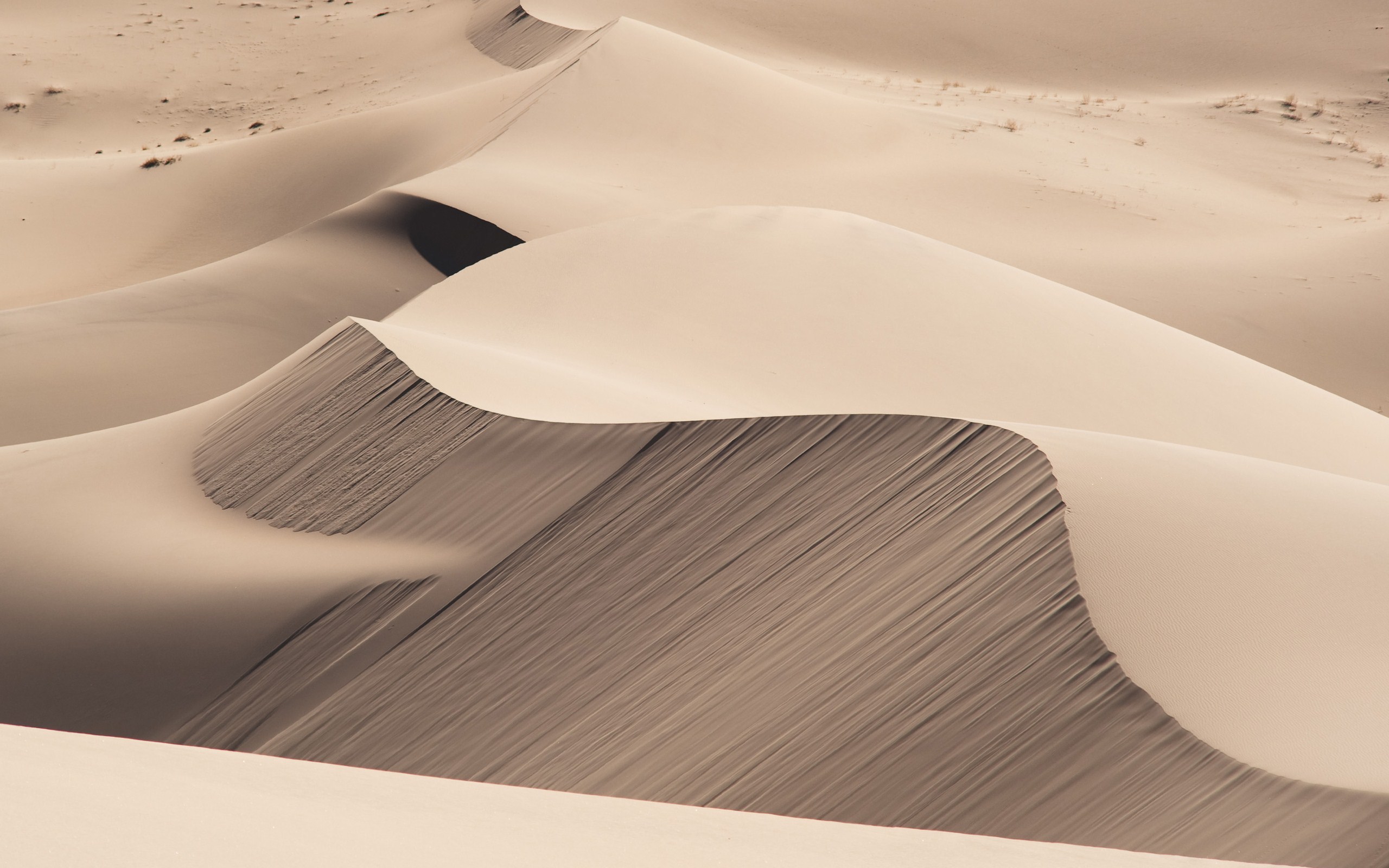 carta da parati sabbia hd,sabbia,erg,bianca,duna,deserto