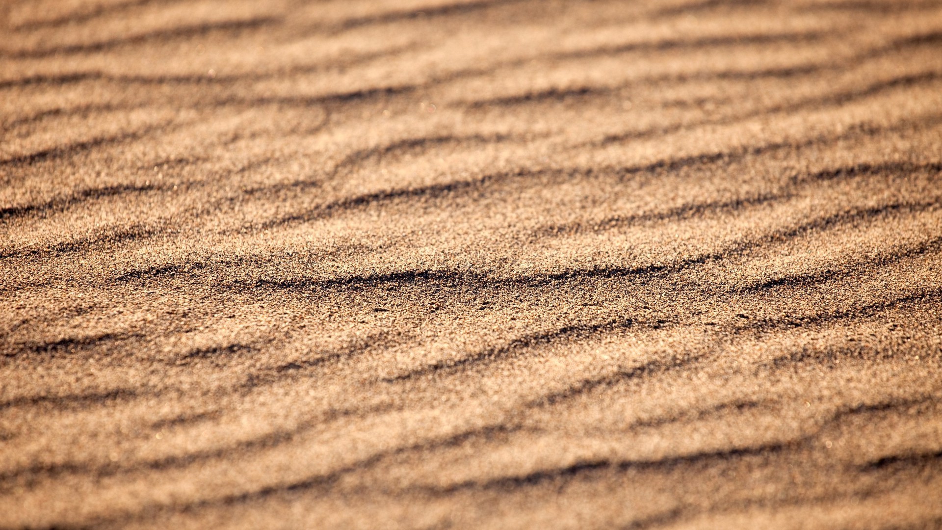 砂の壁紙のhd,木材,褐色,閉じる,ウッドステイン,パターン