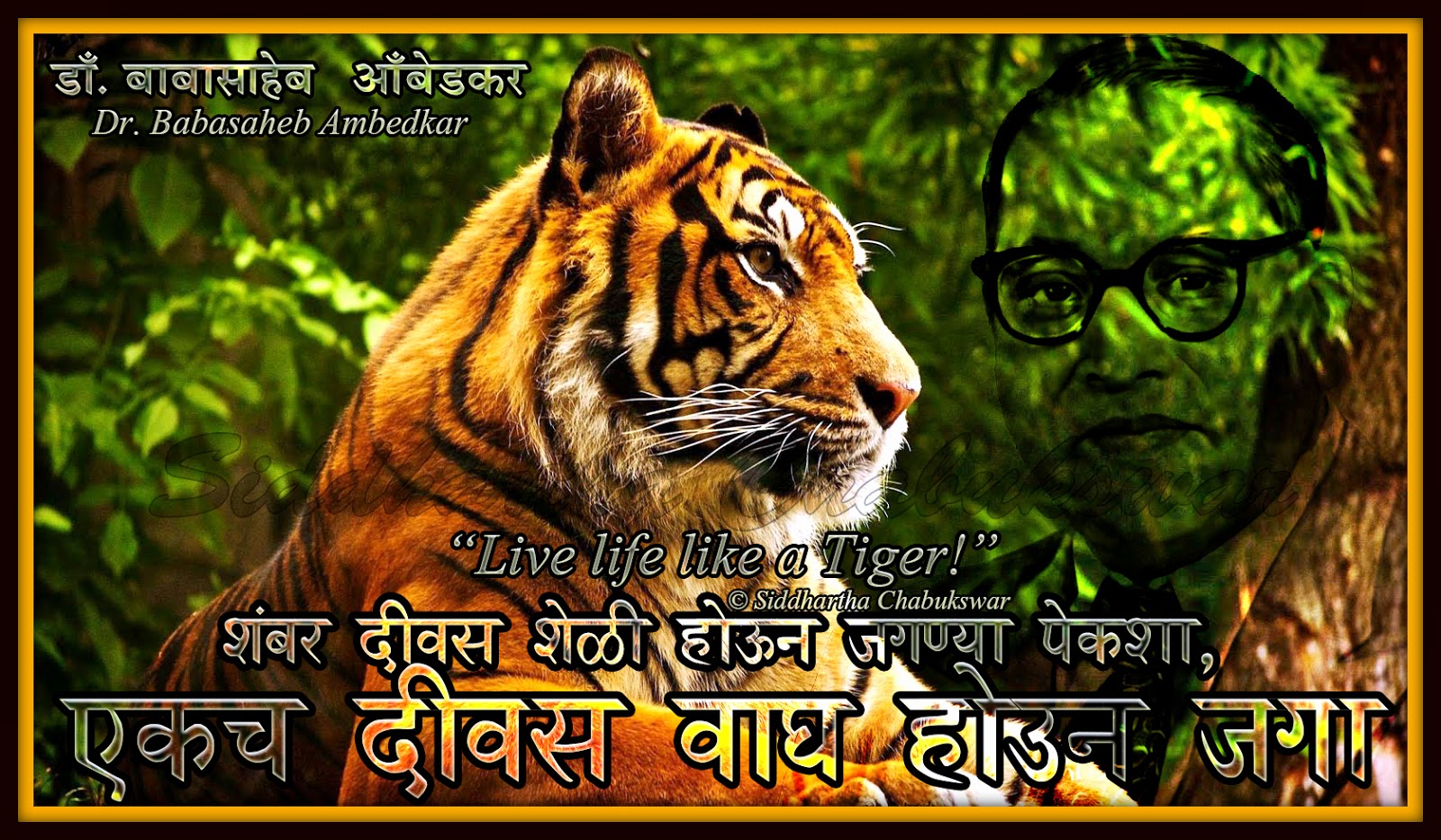 jay bhim live wallpaper,tigre,fauna silvestre,tigre de bengala,felidae,tigre siberiano
