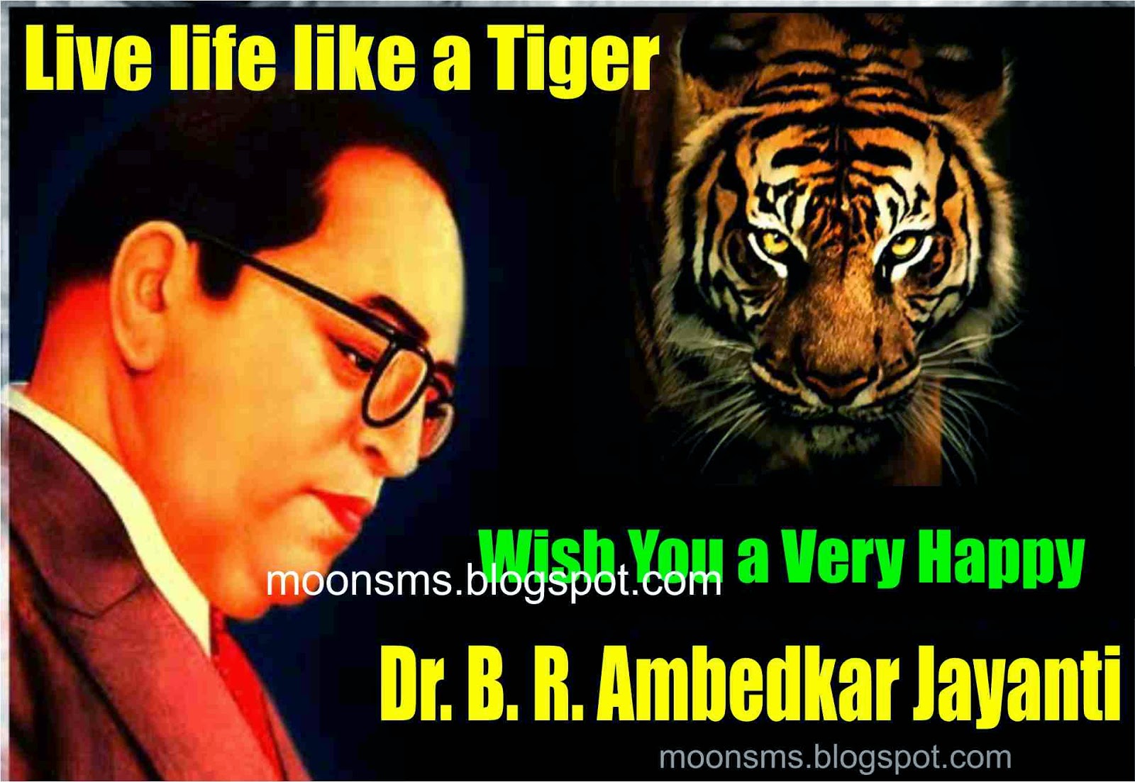 jay bhim fond d'écran hd,tigre du bengale,tigre,félidés,faune,légende photo