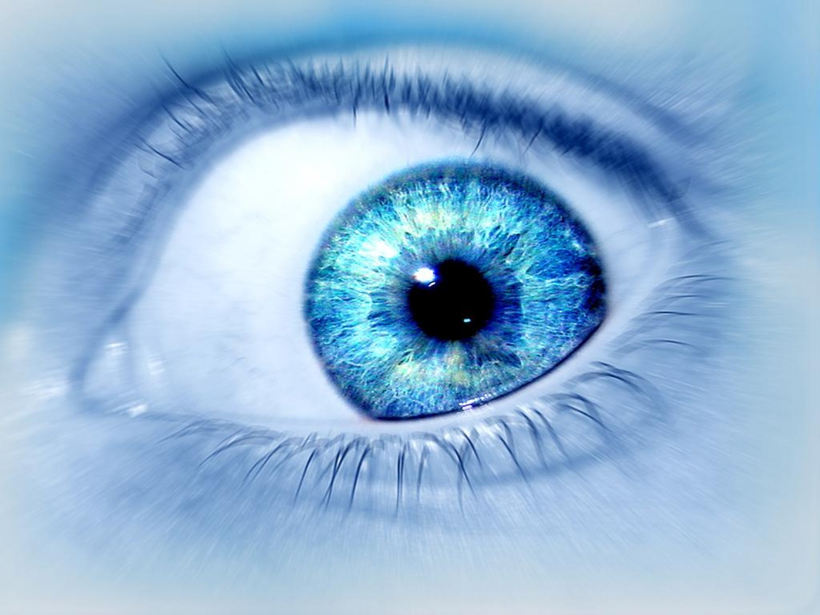 download di sfondi occhi,occhio,blu,iris,avvicinamento,ciglio