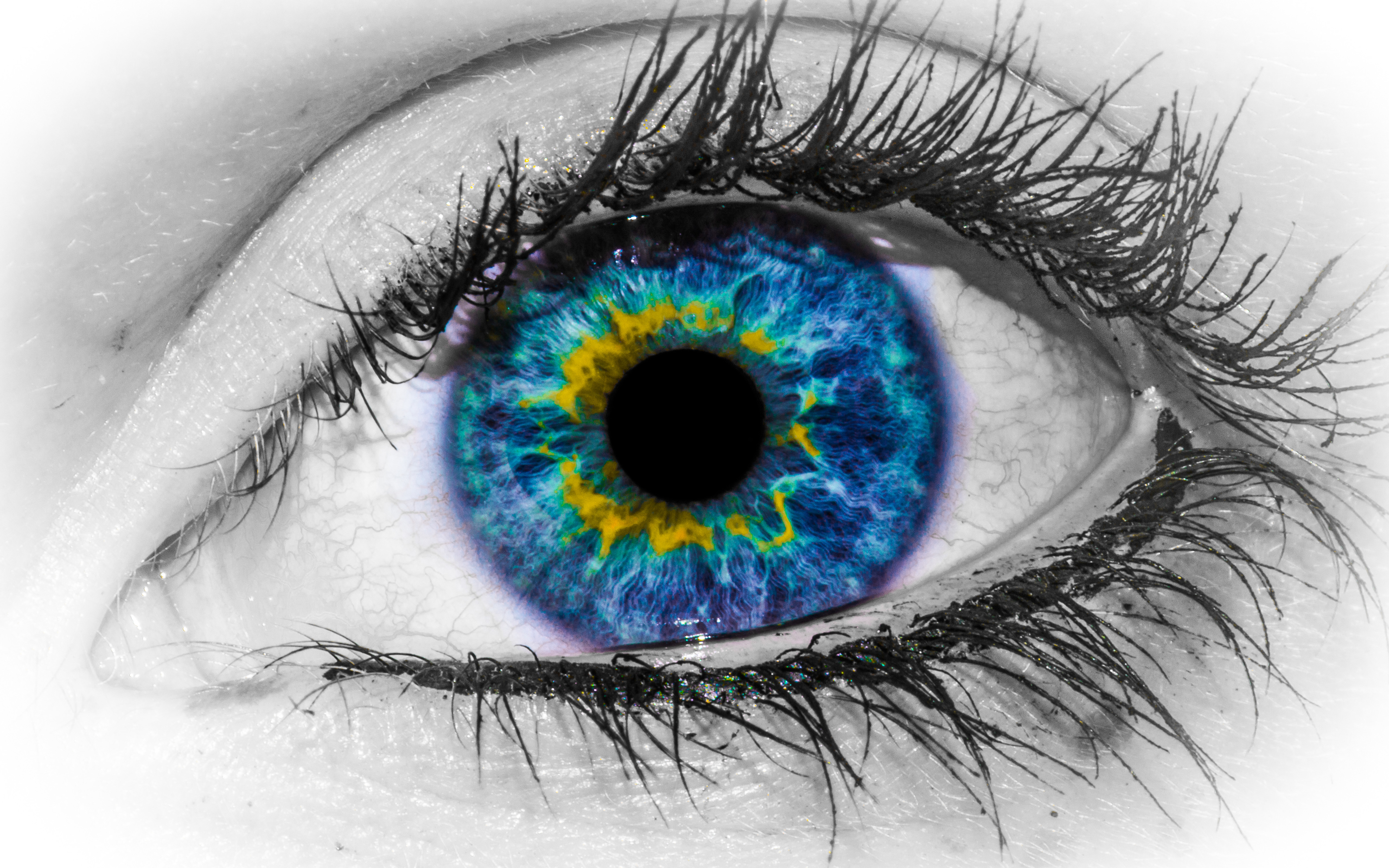 download di sfondi occhi,iris,occhio,blu,avvicinamento,sopracciglio