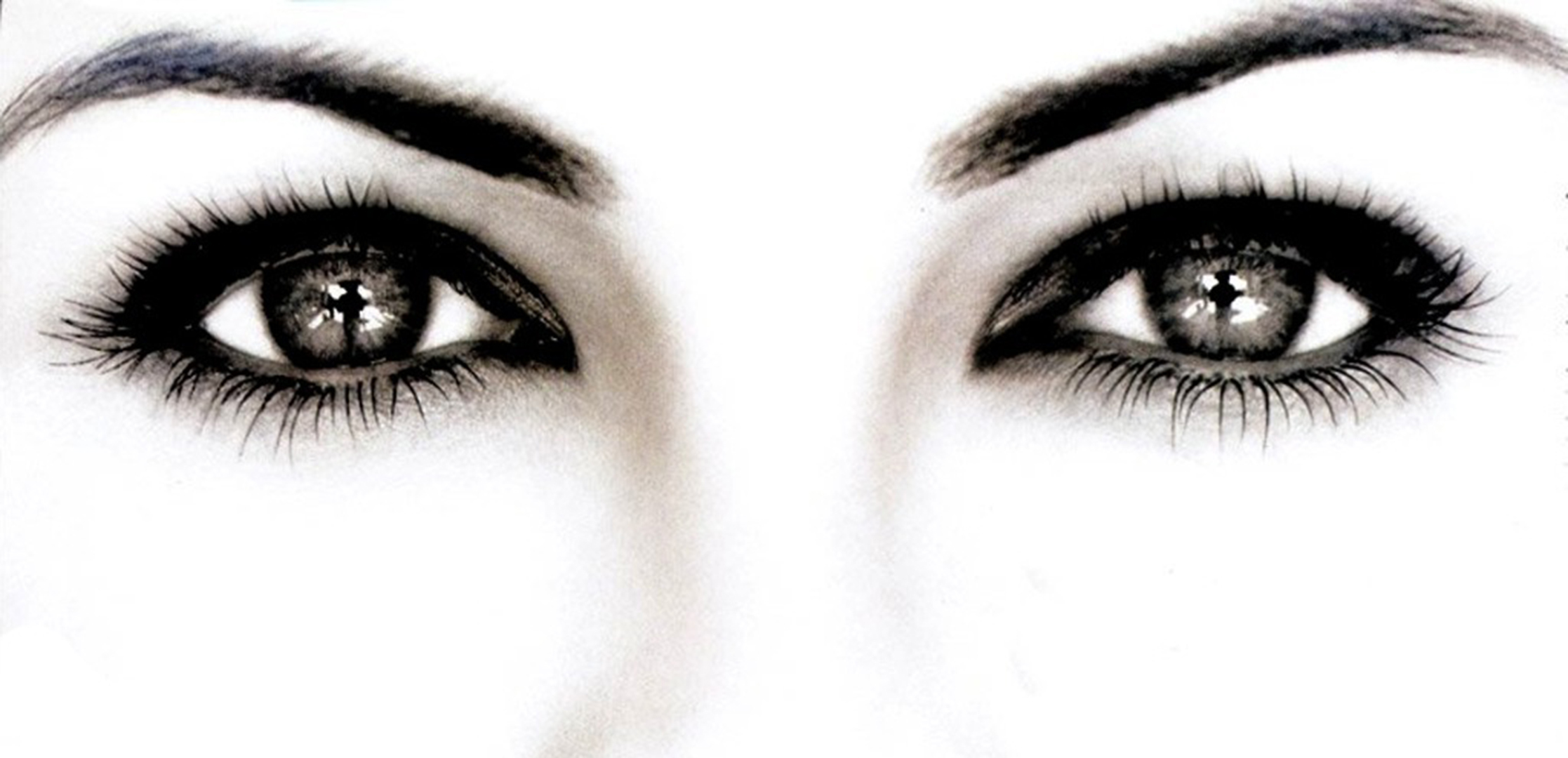 eyes wallpaper download,face,eyebrow,eye,eyelash,nose