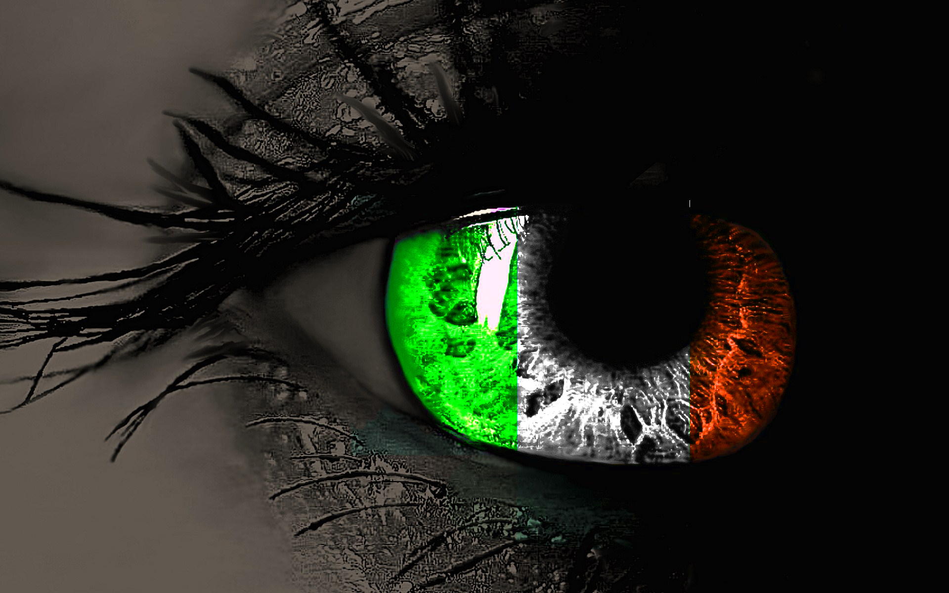 eyes wallpaper download,green,eye,iris,eyelash,black