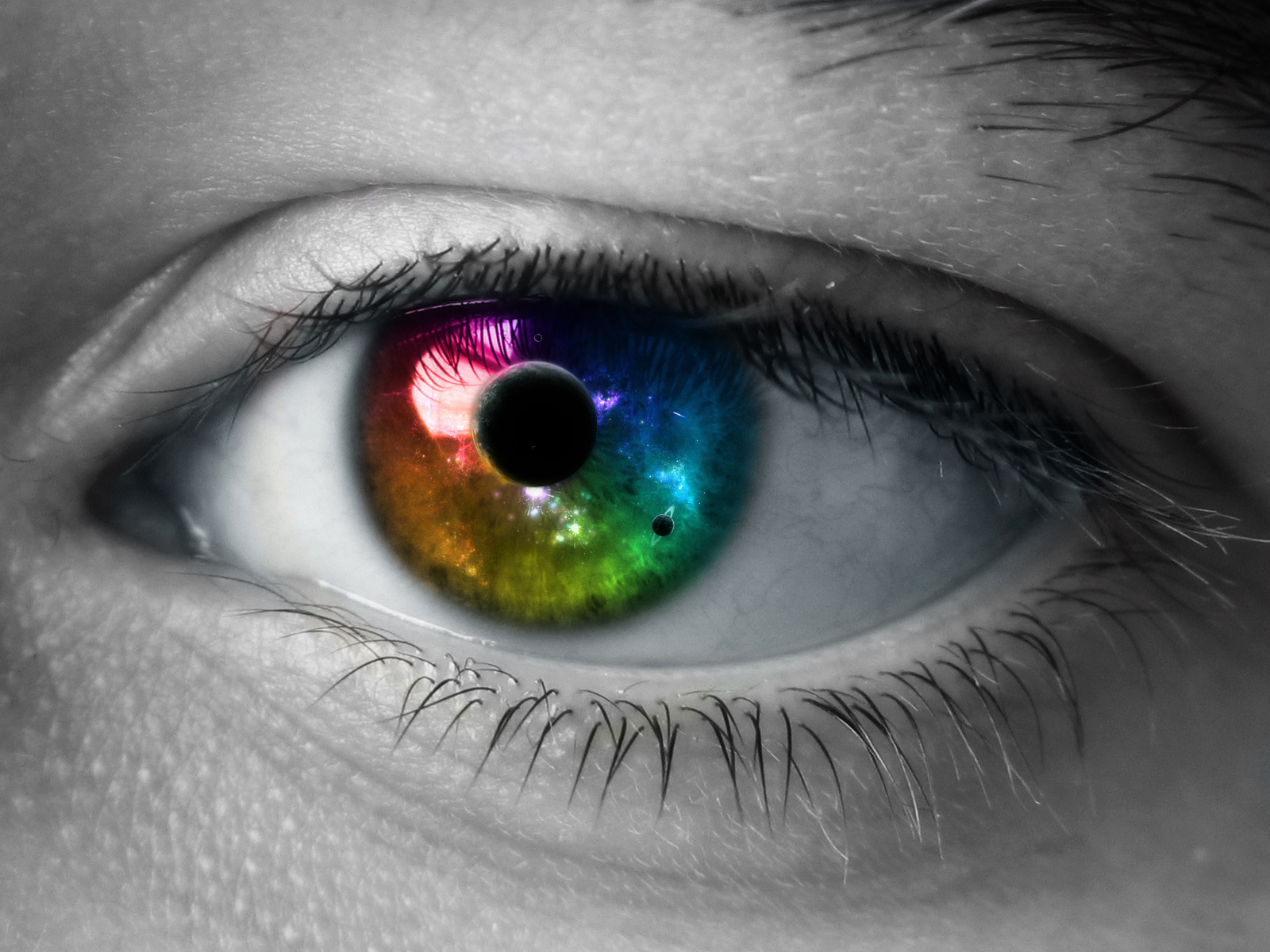 目の壁紙ダウンロード,眼,虹彩,緑,まつげ,眉