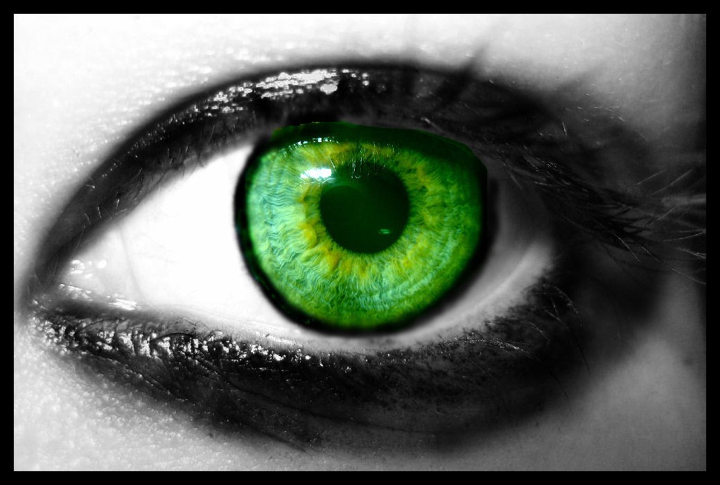 download di sfondi occhi,verde,iris,occhio,avvicinamento,ciglio