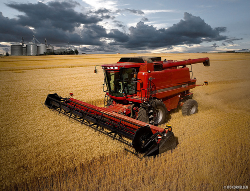 case ih wallpaper,vehicle,field,transport,harvester,agricultural machinery
