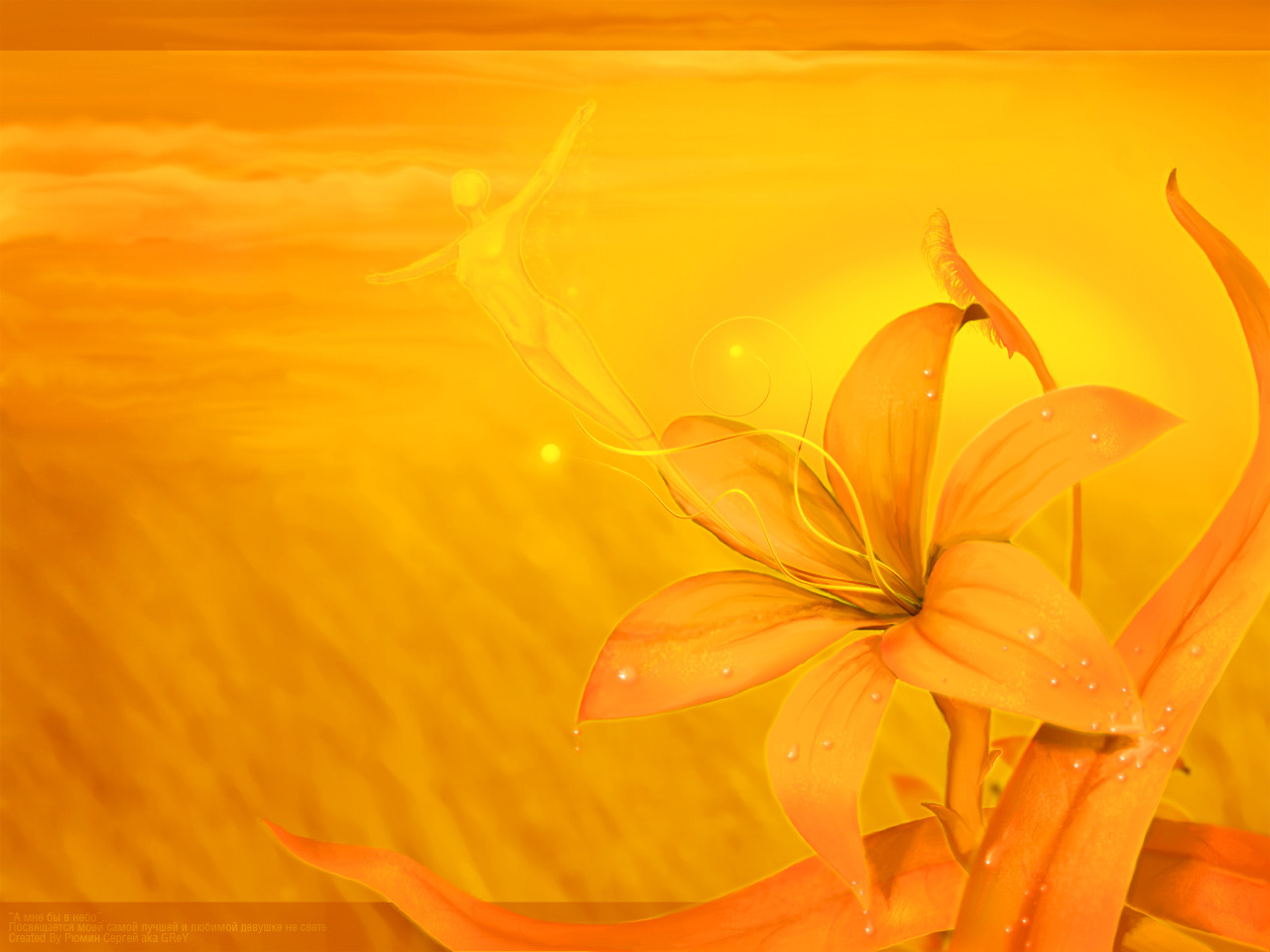 wallpaper de colores,orange,yellow,petal,red,flower