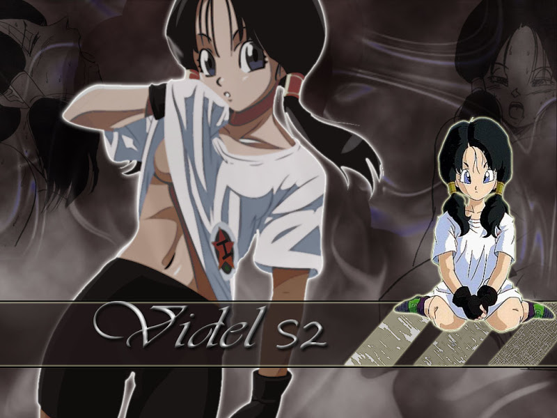 videl wallpaper,cartoon,anime,cg artwork,black hair,animation