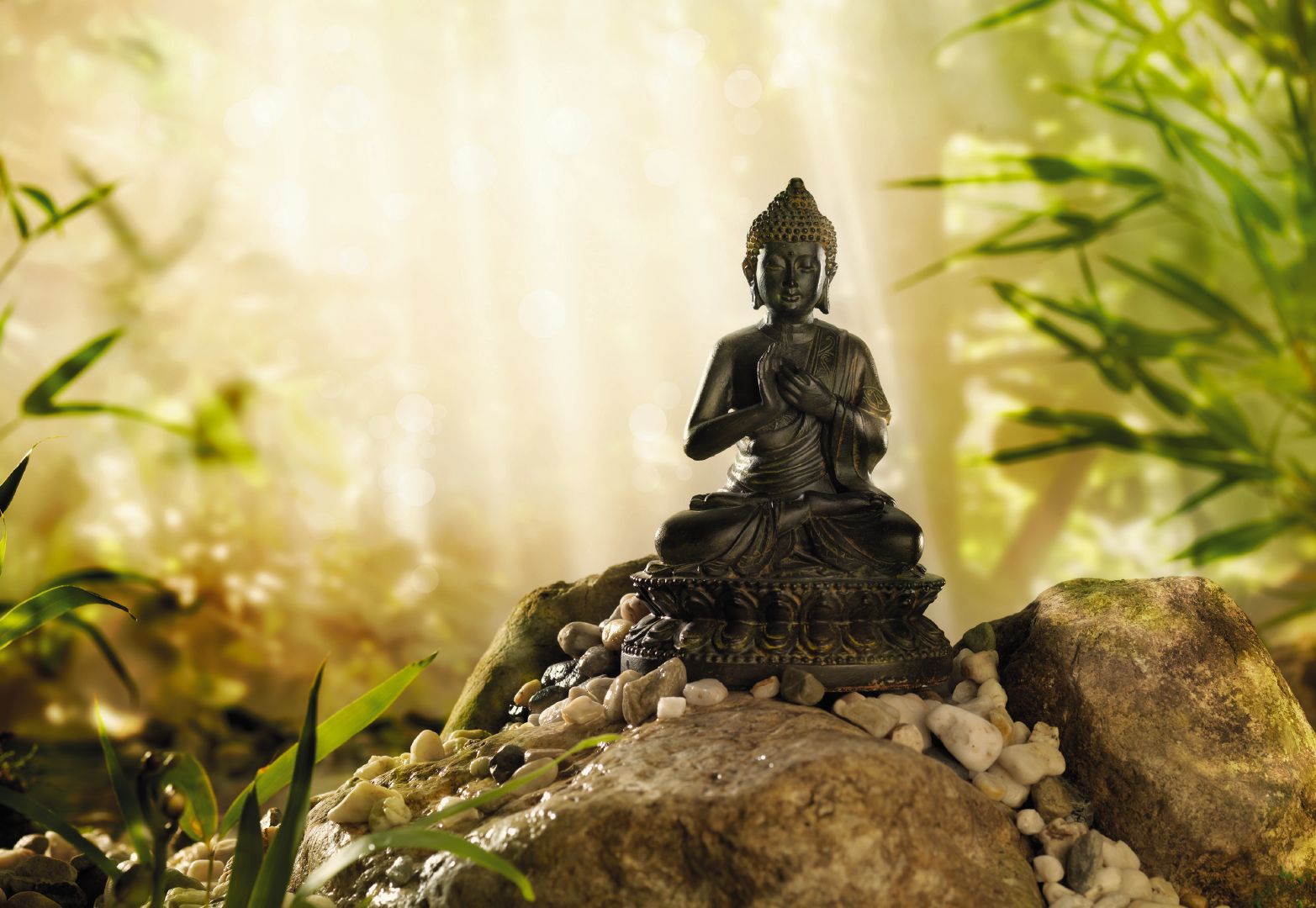 buda wallpaper hd,nature,grass,meditation,statue,tree