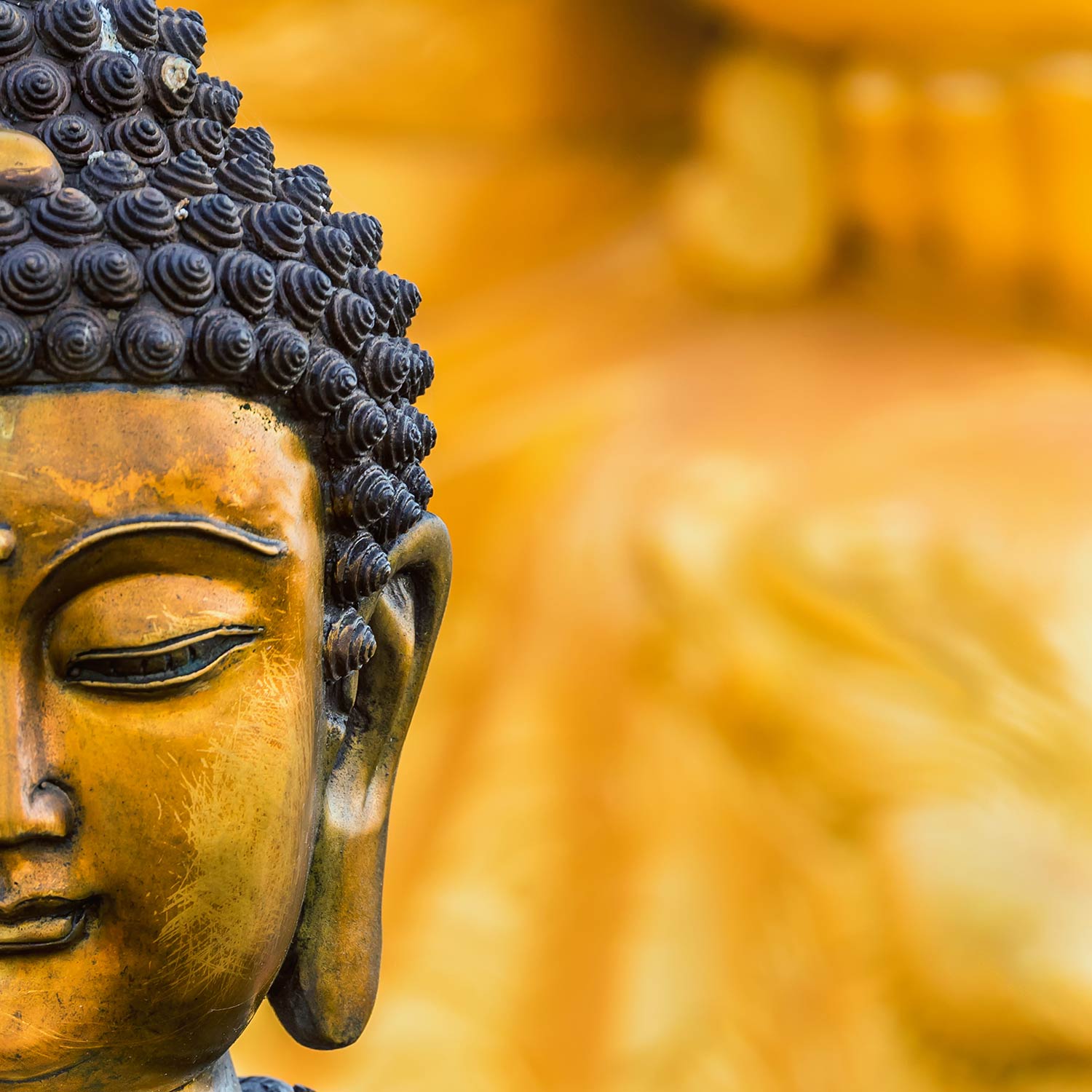 buda wallpaper hd,head,meditation,statue,fictional character,temple