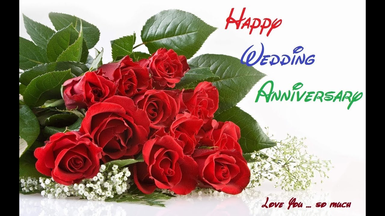 husband wife wallpaper,flower,garden roses,rose,bouquet,red