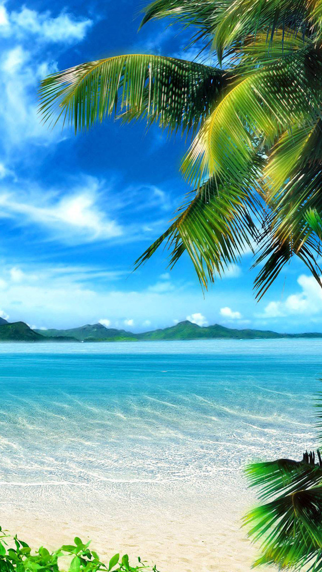 ios beach wallpaper,naturaleza,cielo,paisaje natural,oceano,árbol
