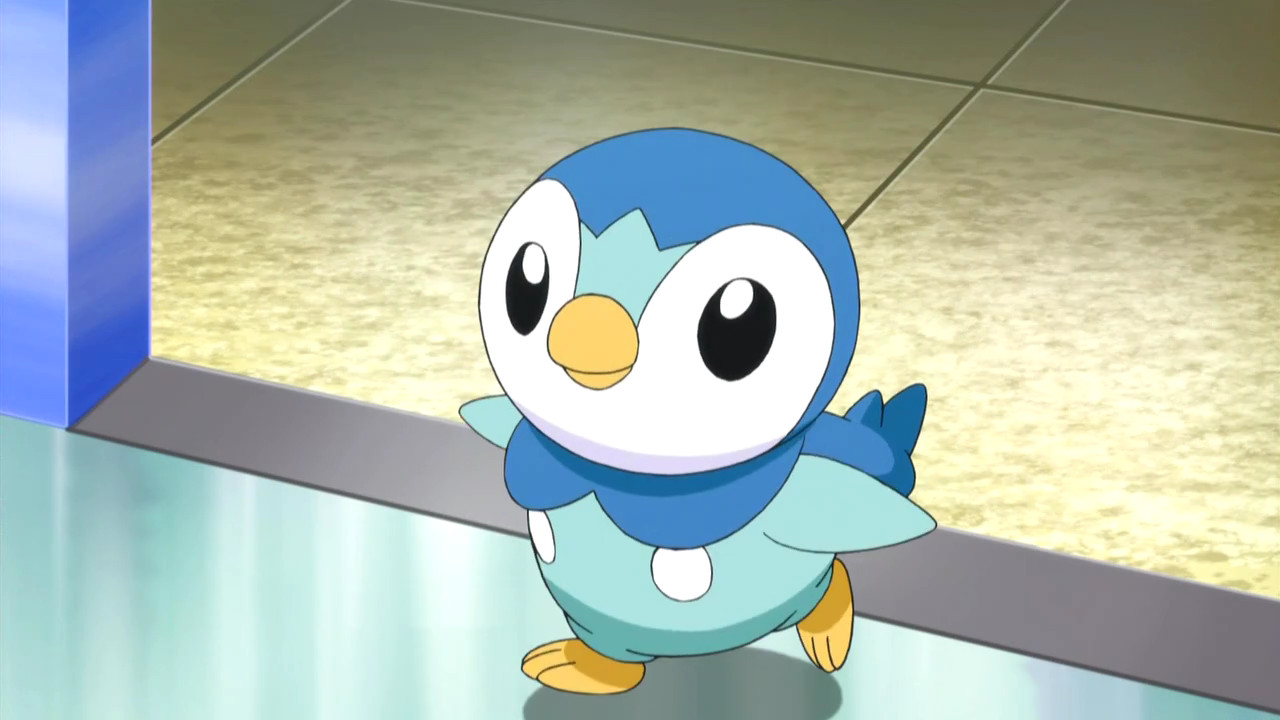 piplup wallpaper,cartoon,flightless bird,animated cartoon,penguin,bird