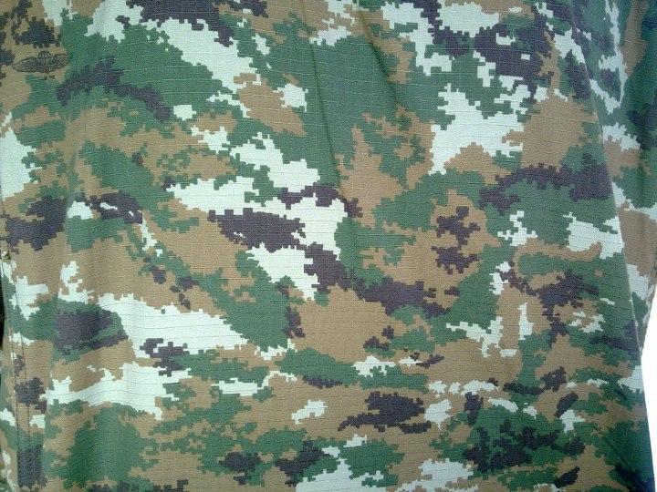 배경 loreng tentara,군사 위장,의류,초록,위장,무늬