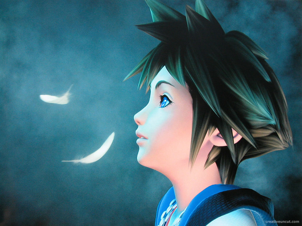 sora wallpaper,cg artwork,sky,cartoon,anime,black hair