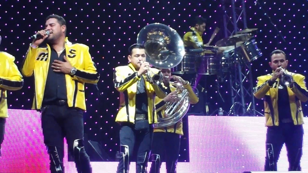 banda wallpaper,performance,entertainment,music artist,event,brass instrument