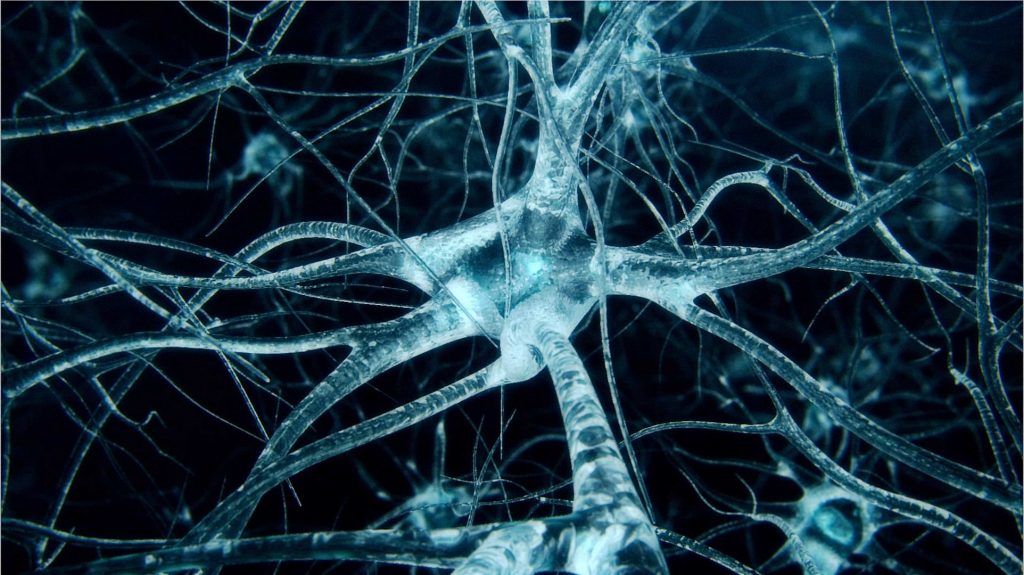 fondo de pantalla de neurociencia,agua,modelo,diseño,arte fractal,simetría
