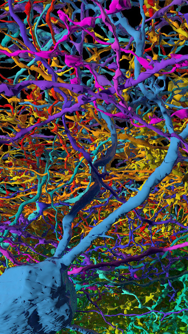 神経科学の壁紙,紫の,サイケデリックアート,バイオレット,木,アート