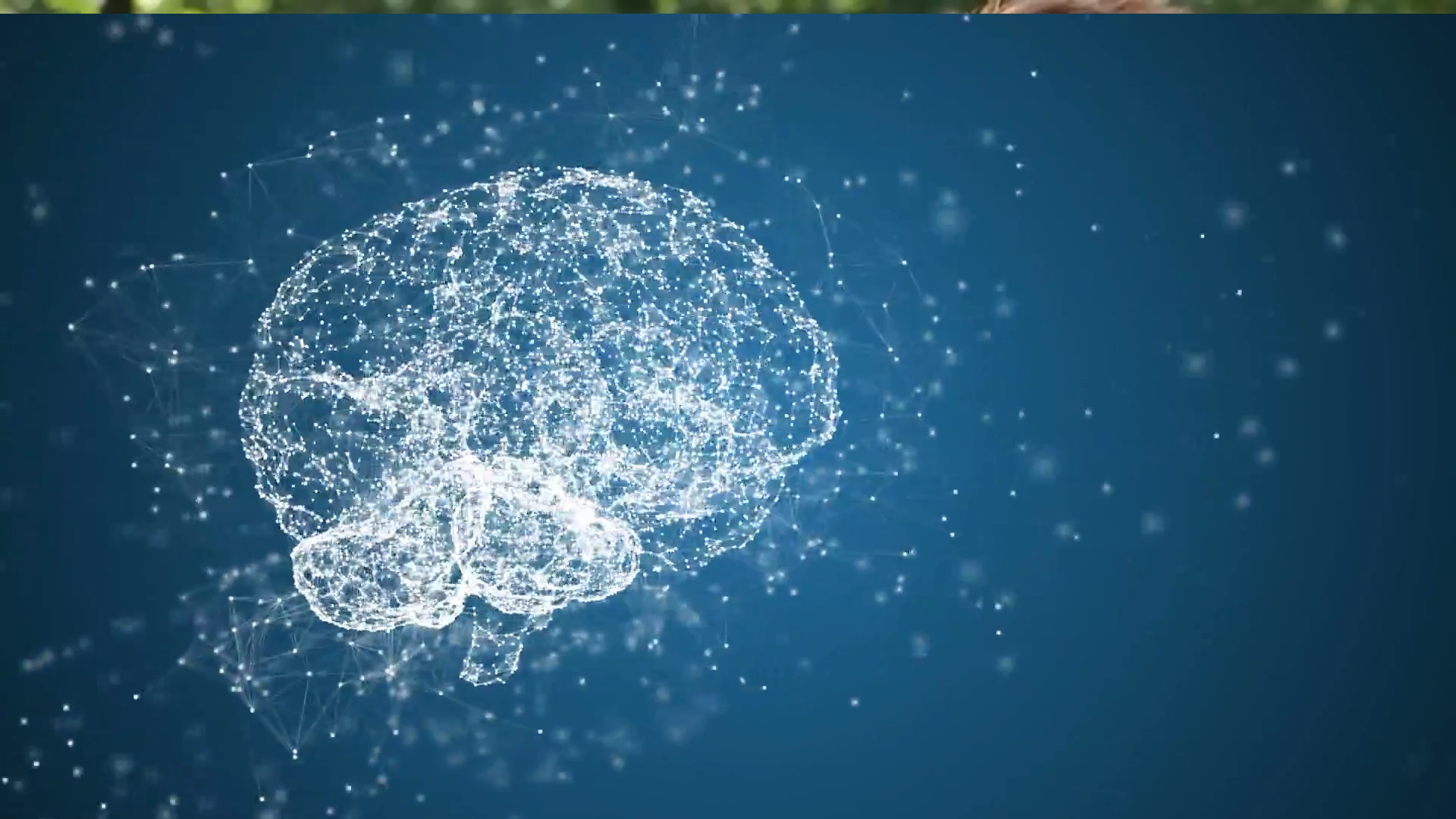 fond d'écran de neurosciences,l'eau,bleu,ciel,cercle,police de caractère