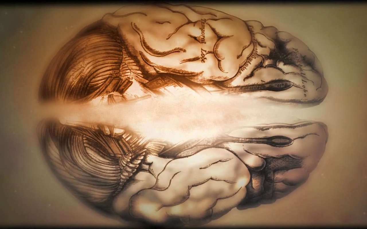신경 과학 벽지,이마,얼굴,머리,뇌,턱