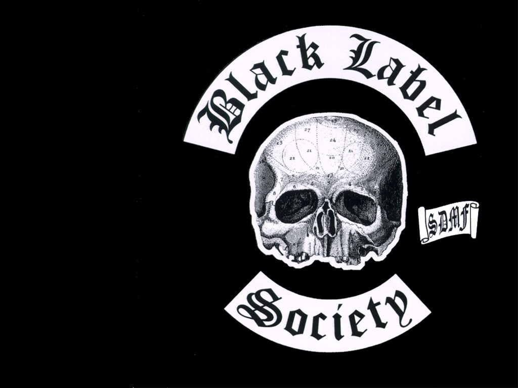 black label society wallpaper,bone,skull,font,logo,text