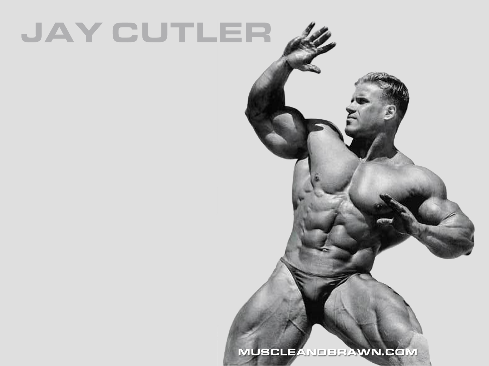 jay cutler fond d'écran hd,bodybuilder,la musculation,épaule,permanent,forme physique