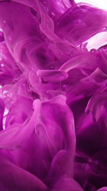 라이브 사진 배경 화면 다운로드,보라색,제비꽃,분홍,꽃잎,물